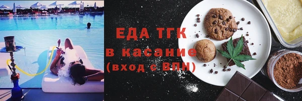 хмурый Алексин