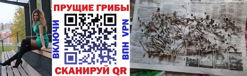Псилоцибиновые грибы MAGIC MUSHROOMS  Магнитогорск 